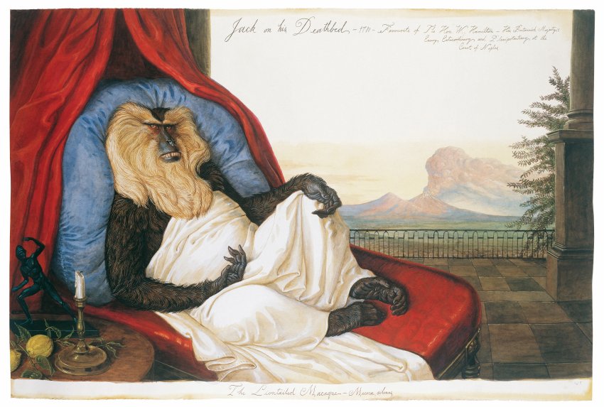 Walton Ford Pancha Tantra